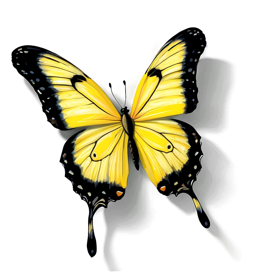 Yellow Butterfly With Shadow Png 06292024