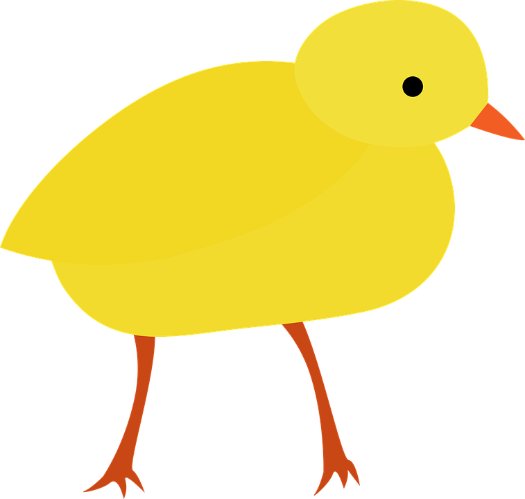 Yellow Cartoon Chick Illustration