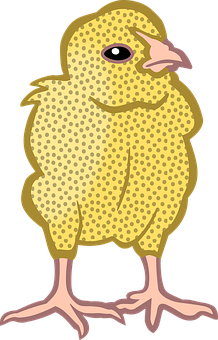 Yellow Chick Cartoon Illustration