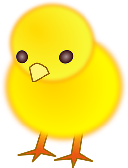 Yellow Chick Cartoon Illustration