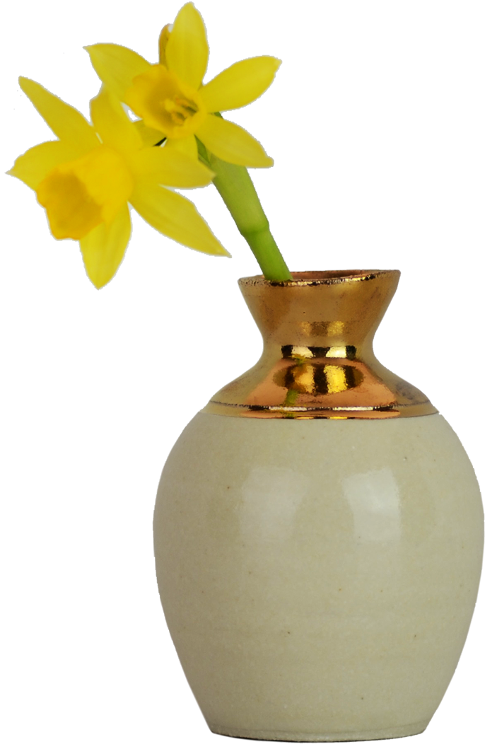 Yellow Daffodilin Vase