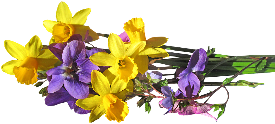 Yellow Daffodils Purple Flowers Bouquet