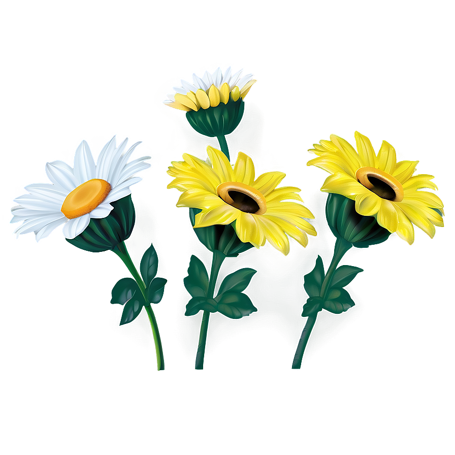 Yellow Daisy Png 2