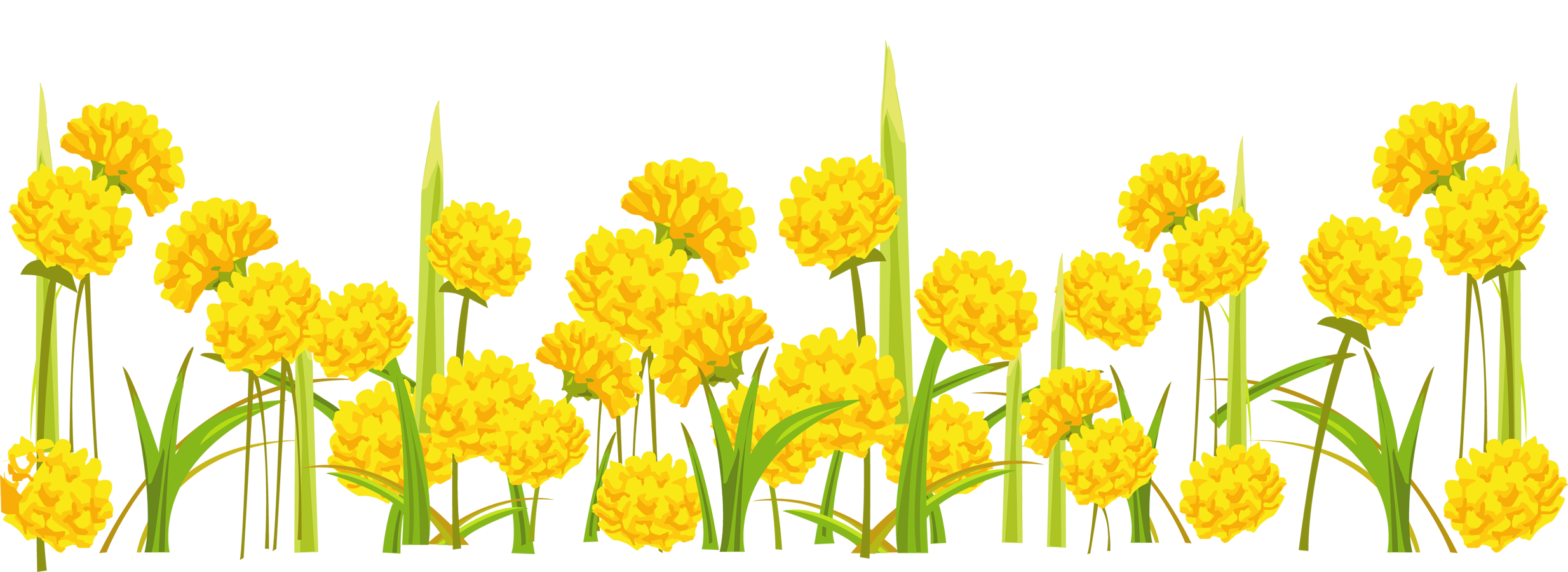 Yellow Dandelions Field Illustration