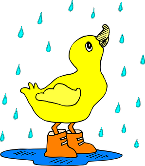 Yellow Duck Rainy Day