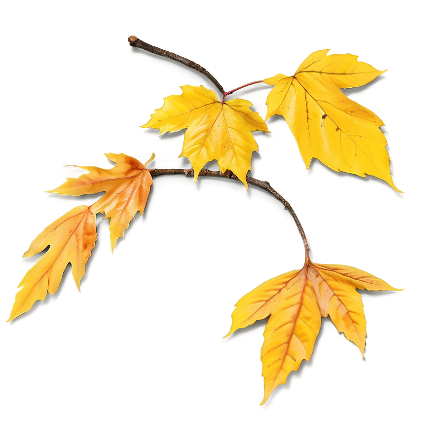 Yellow Fall Leaves Png Brk