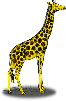 Yellow Giraffe Graphic Illustration