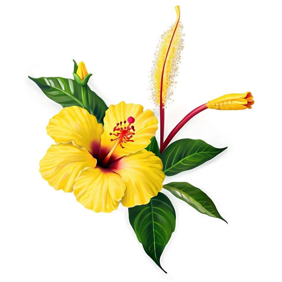 Yellow Hibiscus Png Kpm20