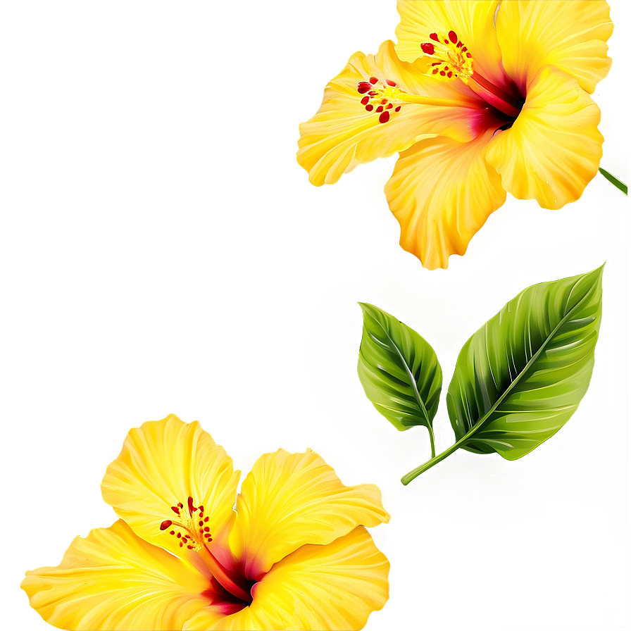 Yellow Hibiscus Png Qfv
