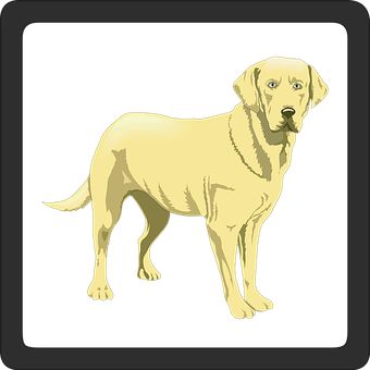 Yellow Labrador Retriever Illustration