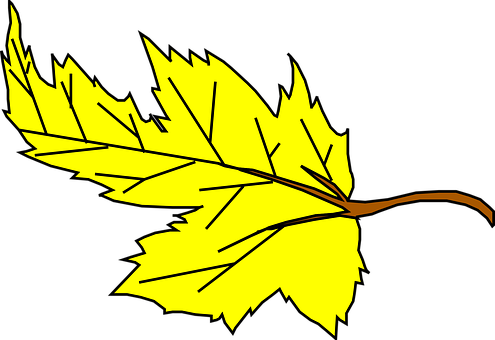 Yellow Maple Leaf Vector Illustration