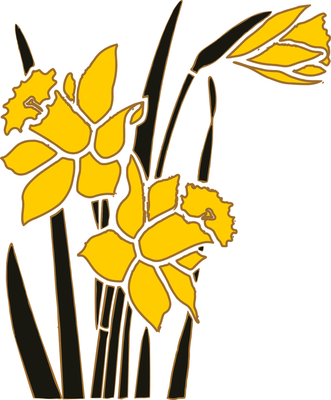Yellow Narcissus Floral Illustration