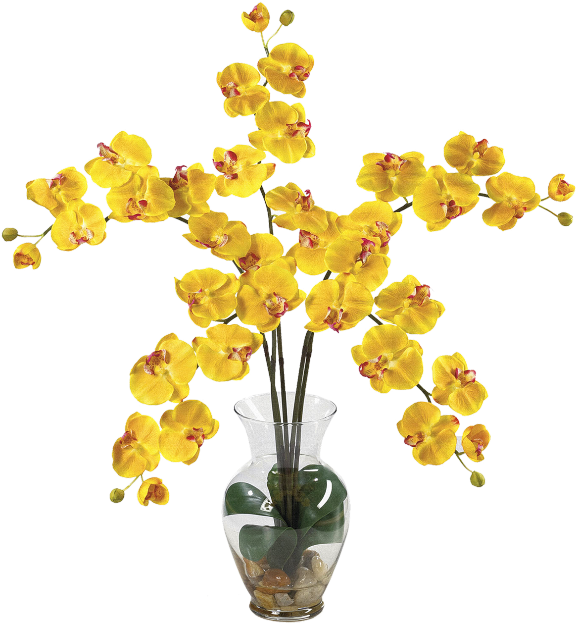 Yellow Orchidsin Glass Vase