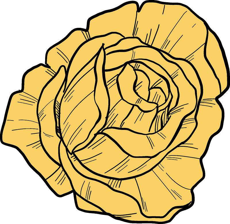 Yellow Rose Illustration