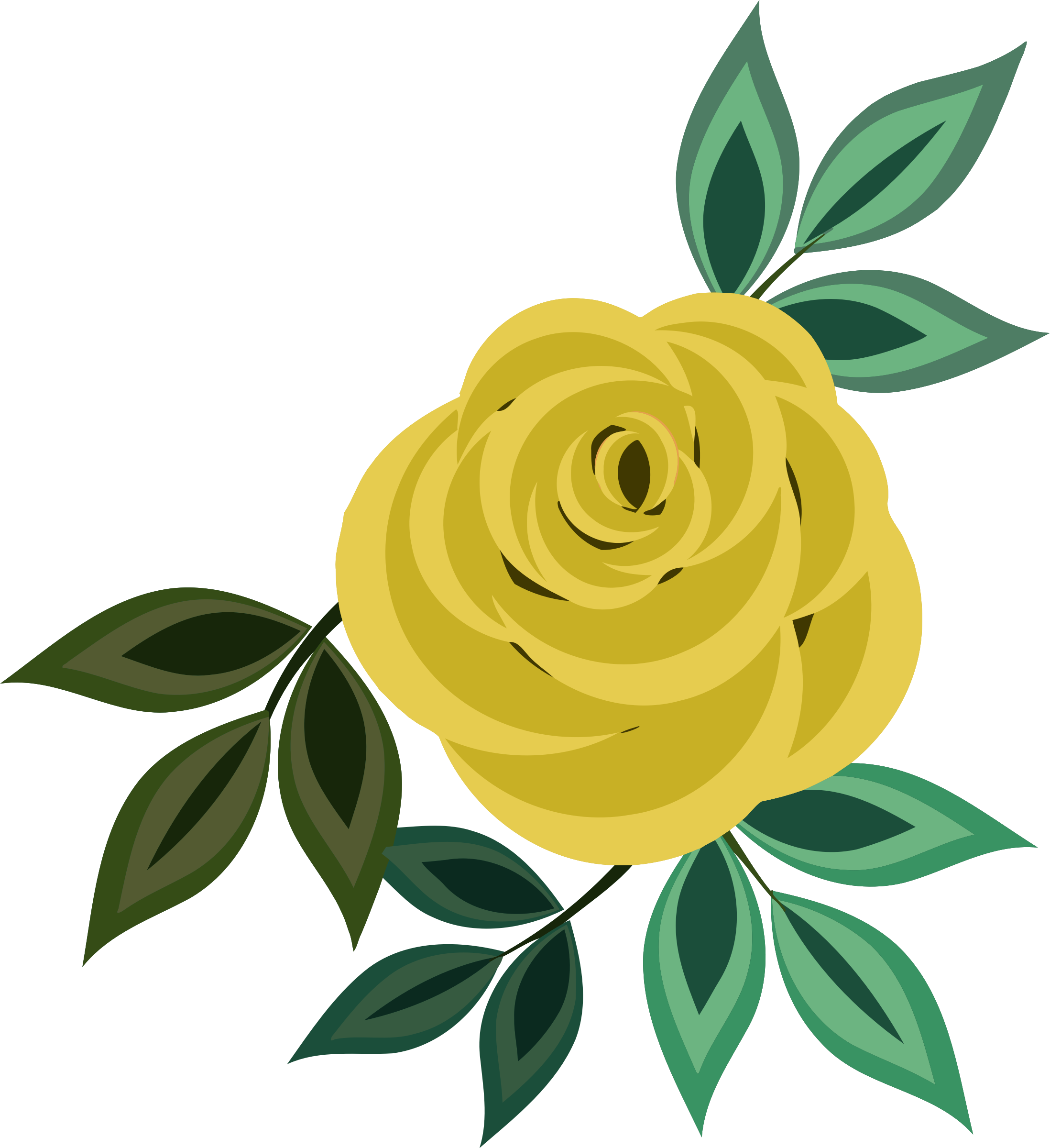 Yellow Rose Vector Illustration