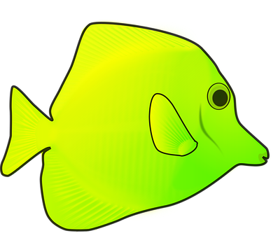 Yellow Tang Fish Illustration