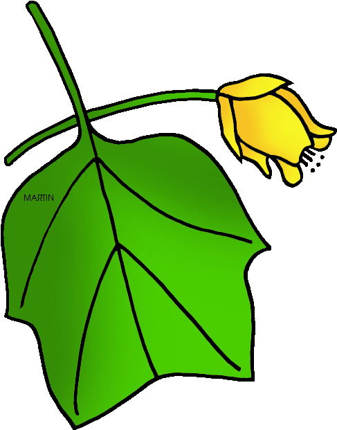 Yellow Tulip Cartoon Illustration