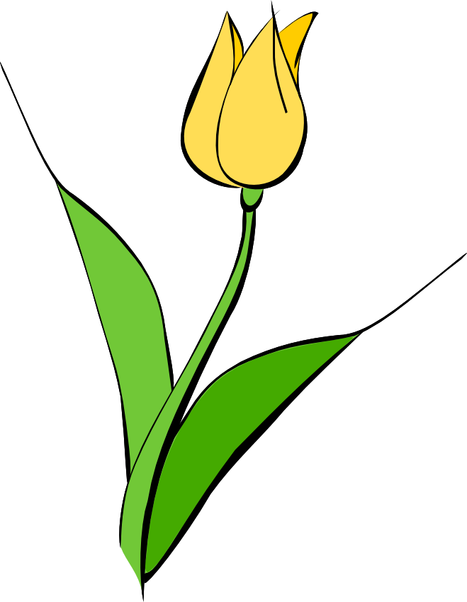 Yellow Tulip Vector Art