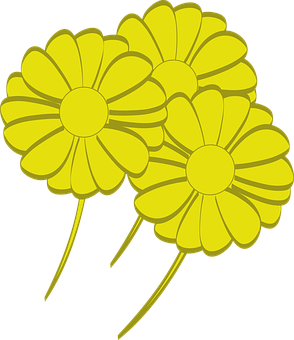 Yellow Vector Daisies