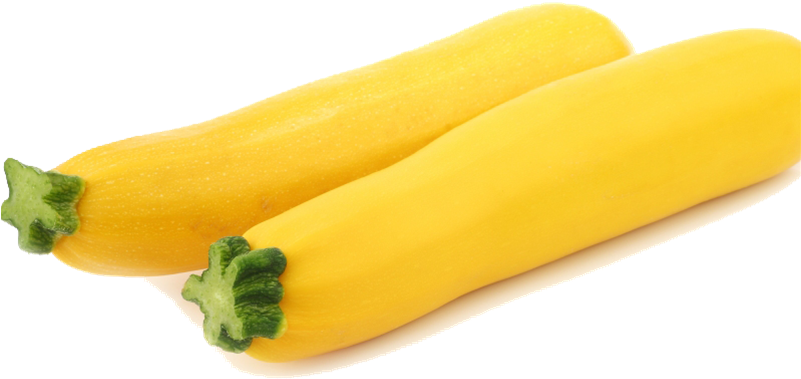 Yellow Zucchini Two Pieces