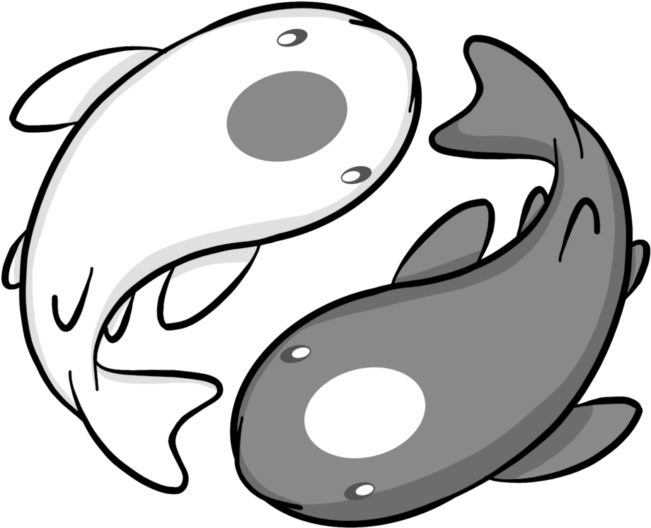 Yin Yang Koi Fish Illustration