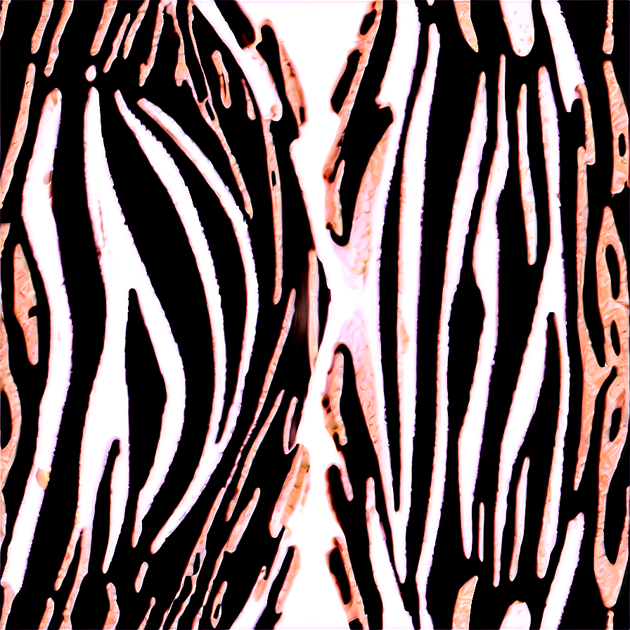 Zebra Print Vector Graphic Png 06272024