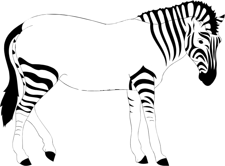 Zebra Side View Illustration