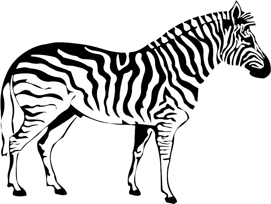 Zebra Silhouette Graphic