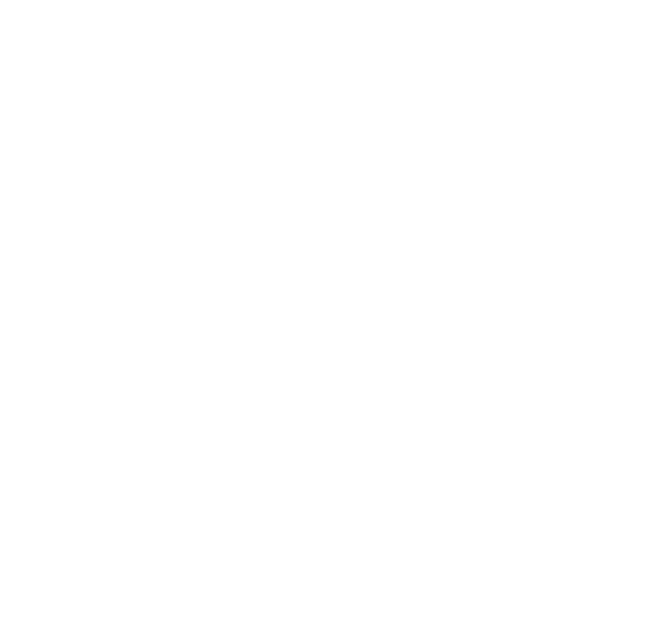 Zen Zone Digital Logo