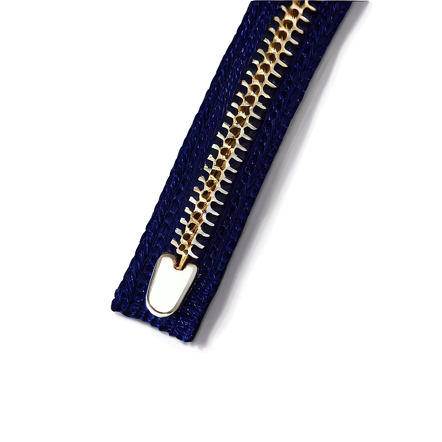 Zipper Vector Png 05252024