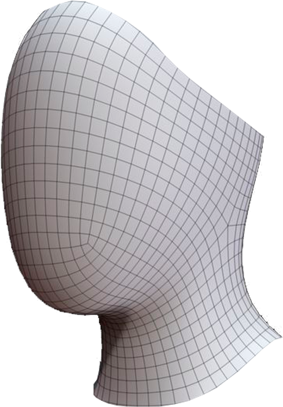 3 D Model Mannequin Head Wireframe PNG image