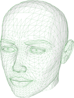 3 D Model Wireframe Head PNG image