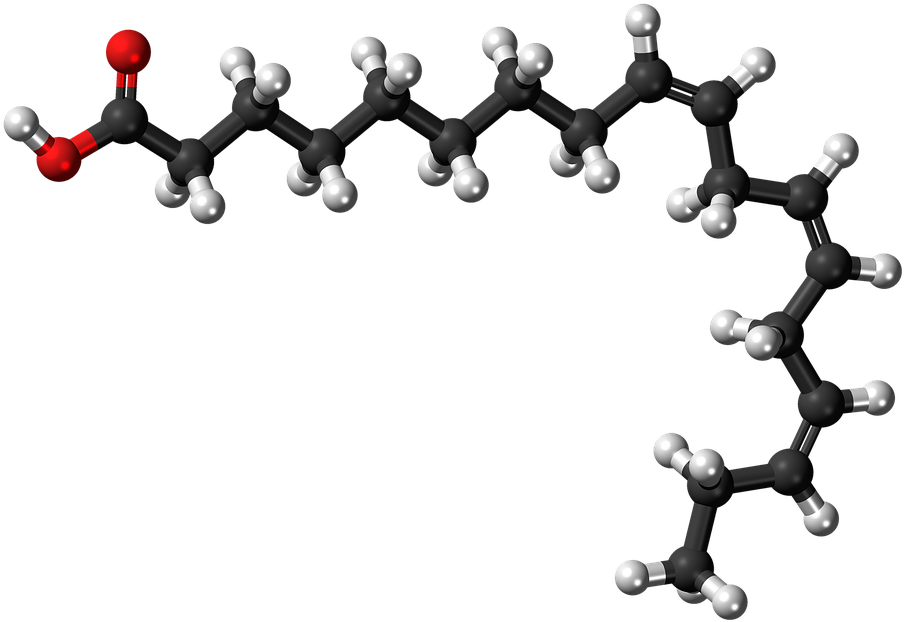 3 D Molecular Structureof Fatty Acid PNG image