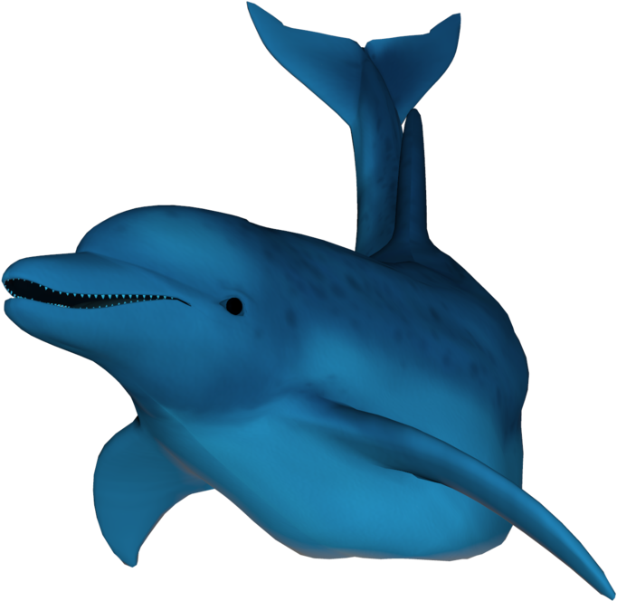 3 D Rendered Blue Dolphin PNG image