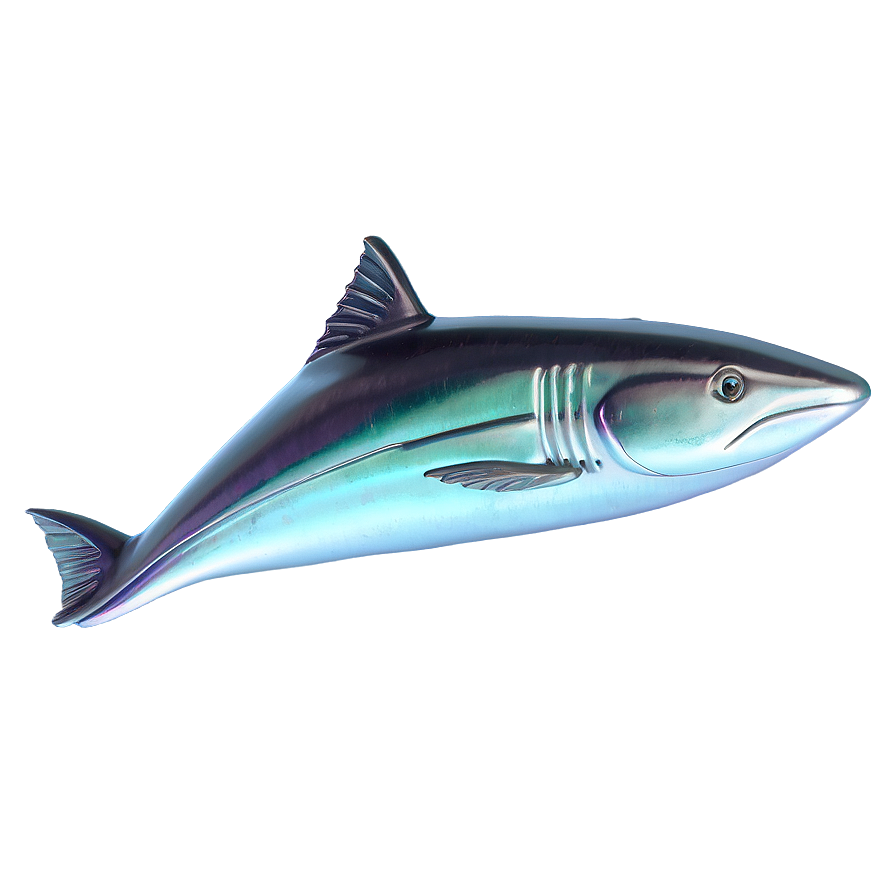 3d Fin Illustration Png 15 PNG image