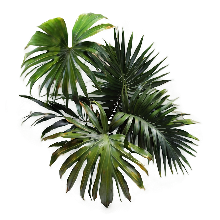 3d Palm Leaves Png Nne52 PNG image