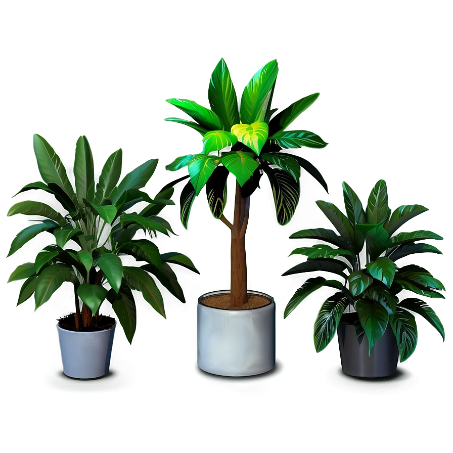 3d Plant Models Png 05212024 PNG image