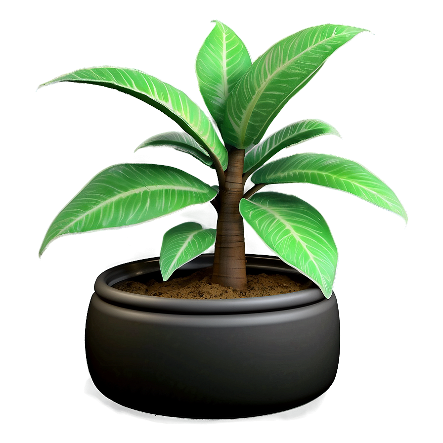 3d Plant Models Png 6 PNG image