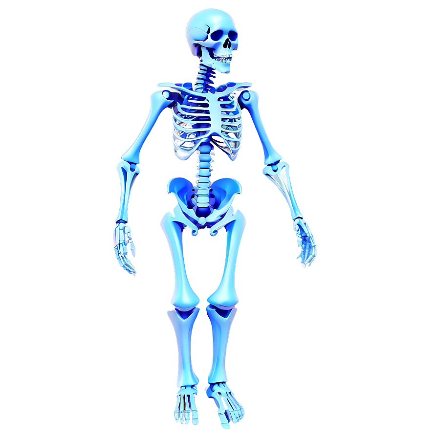 3d Rendered Human Skeleton Png Xdf PNG image