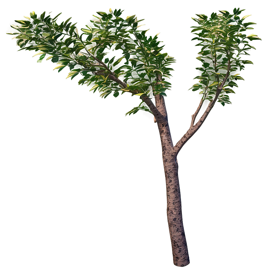 3d Rendered Tree Branch Png Qfi17 PNG image