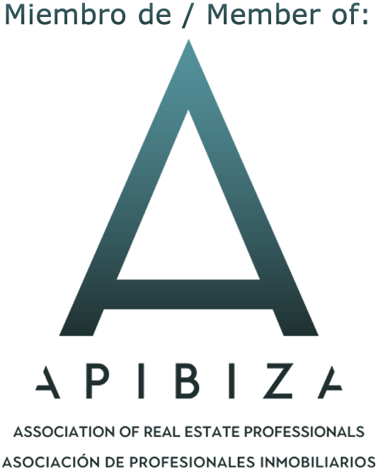 A P I B I Z A Real Estate Professionals Association Logo PNG image