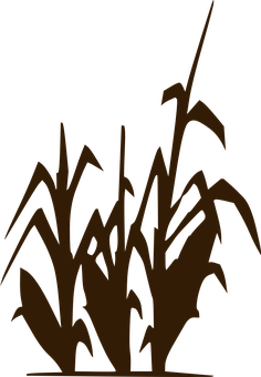 A Silhouette Of A Plant PNG image