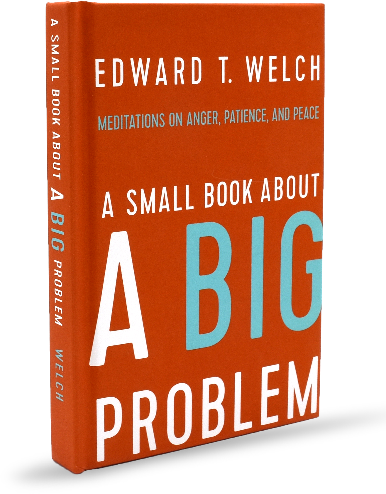 A Small Book About A Big Problem Cover PNG image