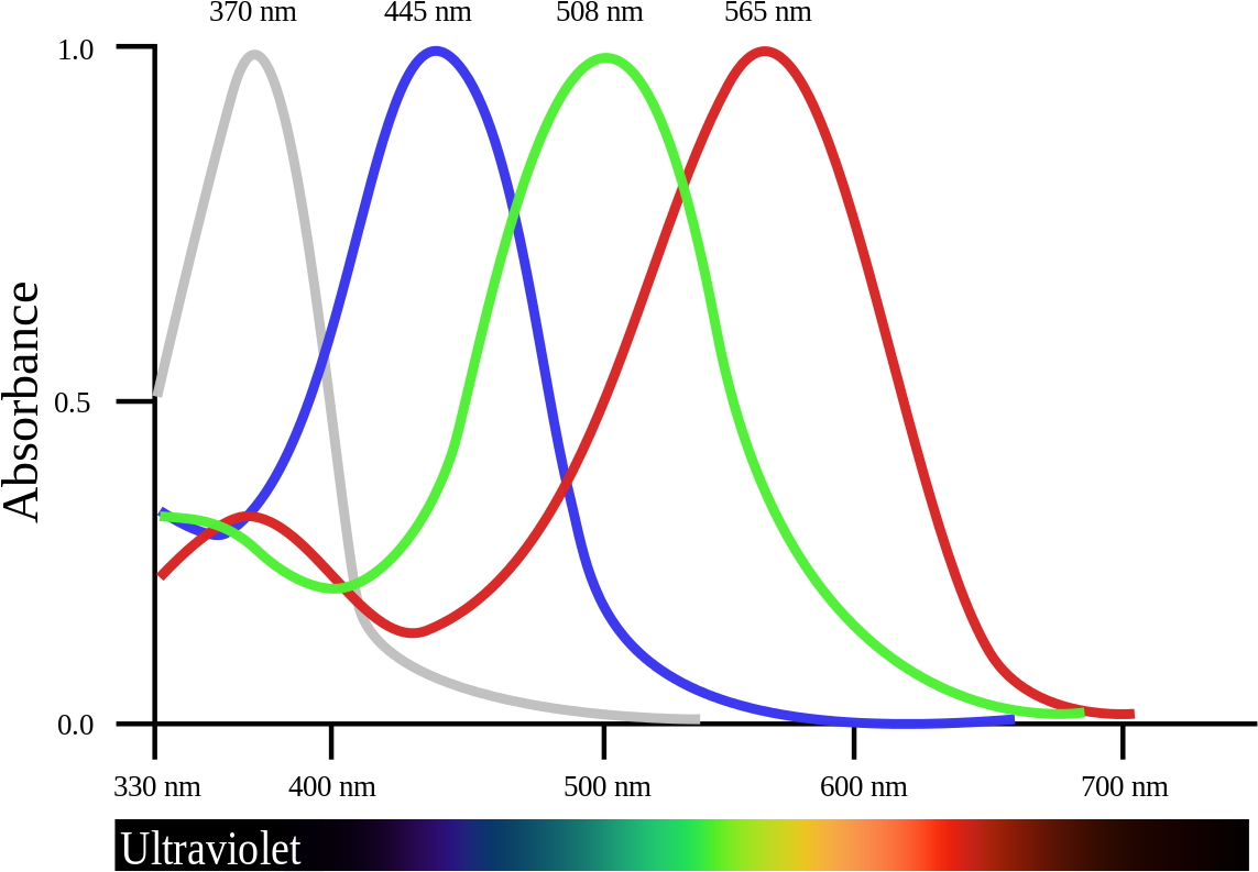 Absorption Spectrum Peak Wavelengths PNG image