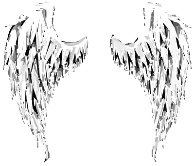 Abstract Angel Wings Art PNG image