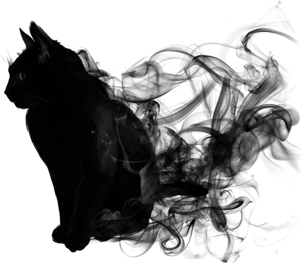 Abstract Black Cat Artwork PNG image