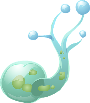 Abstract_ Blue_ Organism_ Illustration PNG image