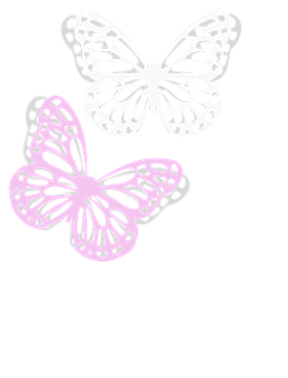 Abstract Butterflies Black Background PNG image