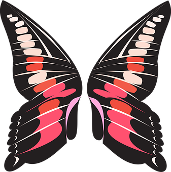 Abstract Butterfly Illustration PNG image