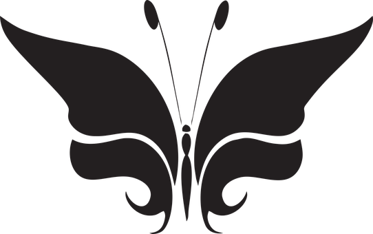 Abstract Butterfly Silhouette PNG image